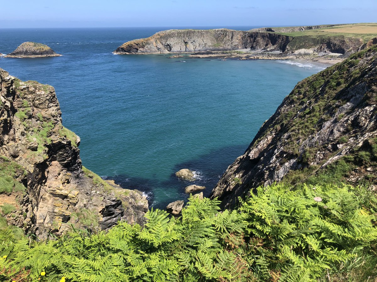 GeorgieTibbott's tweet photo. Good luck to all #FY1 doctors starting careers in Wales. Fantastic place to live and work. Plus @BMACymru has your back! 🙌🏼
👇🏼This is beautiful #Pembrokeshire, I recommend it for some much needed R&amp;R when you take annual leave 💆🏽‍♀️. #TakeControlCymru https://t.co/DcJZHP5xhD https://t.co/55352jq17p