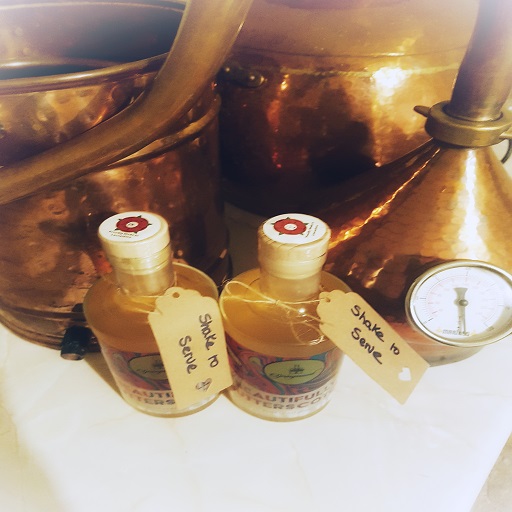 SpringmountG's tweet image. Anyone else noticed our Beautifully Butterscotch rum is the same colour as our still?  🧡

#springmountspirits #springmountrum #rum #drinkup #butterscotch #butterscotchrum