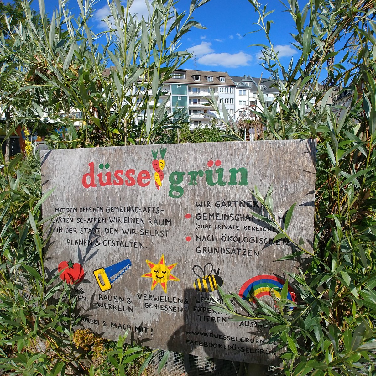 stadtbueduedorf's tweet photo. Am Donnerstag (30.7., 17 Uhr) besuchen wir den Gemeinschaftsgarten #Düsselgrün in Oberbilk und sind live bei #Instagram! Wir zeigen euch, wie der Garten aussieht und bekommen allerhand Infos, was jede*r von uns tun kann, um das Leben ein bisschen grüner zu gestalten. #KAP1Labor https://t.co/5FV64b2DCX