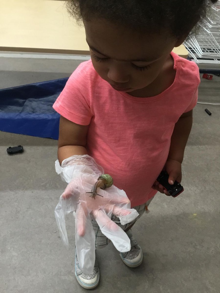 LittleEngN17's tweet photo. We have now given our pet snails the names “Andy” & “Slimy” which some of the children we’re brave enough to hold (using a glove). #minibeasts #education #earlyyears #development #haringey #Tottenham #halevillage #LittleEngN17 https://t.co/8534x7UolW