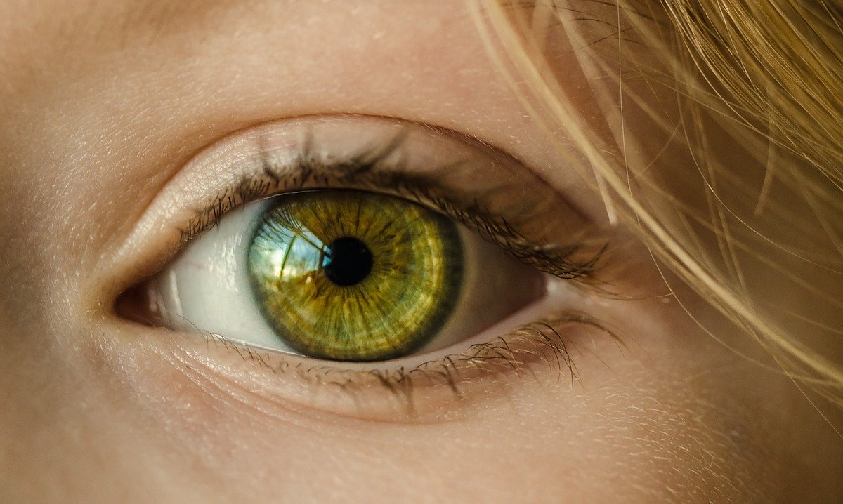 iZySolutions's tweet photo. 👓🤔 Unresolved eye care issues are "one of the unrecognised costs of the pandemic." Find out why it's so important for those who can get care to do so: https://t.co/BFnKSajHuO

Source: @OneSightOrg 

#EyeCarIssue #OpticalIndustry https://t.co/lVtVTJ0XaN