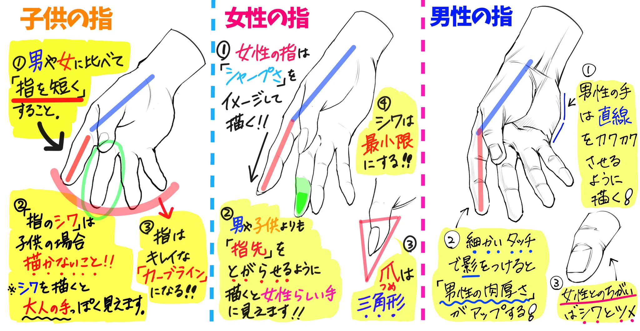 絵描きさんの参考に！男女こどものからだ比率表！