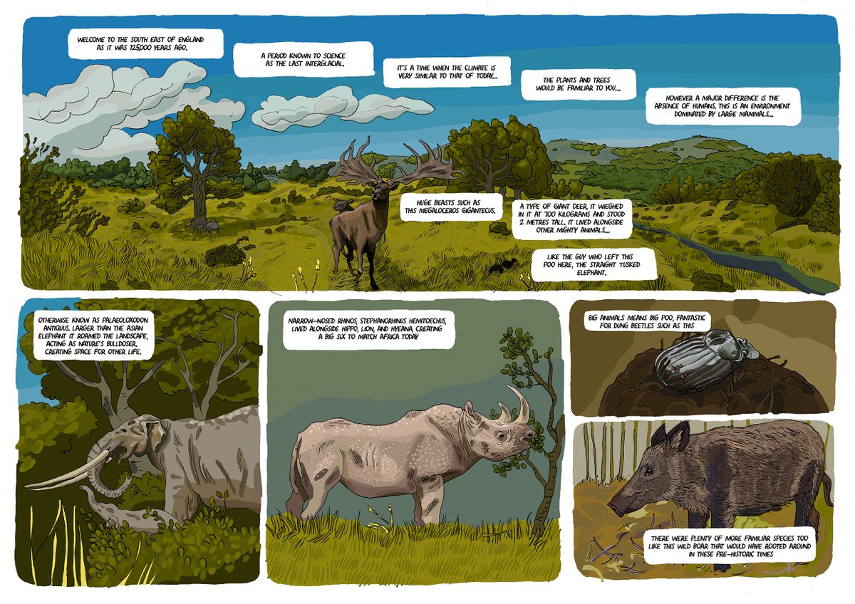 4/ Check out how southern England might have looked 120,000 years ago when the climate was similar to today and the megafauna were still here! There were giant deer, lions, and elephants in England. It still blows my mind a little :)