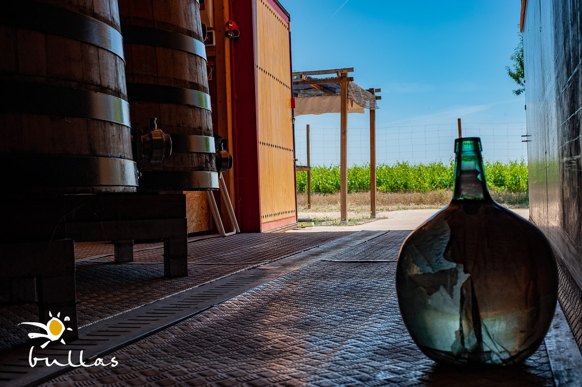 Conoce la bodega modular de <a href="/ladelterreno/">Julia Casado</a> y sus impresionantes vinos🍇👉🍷 #dobullas #vinosdebullas ow.ly/nDtf50AK0ll