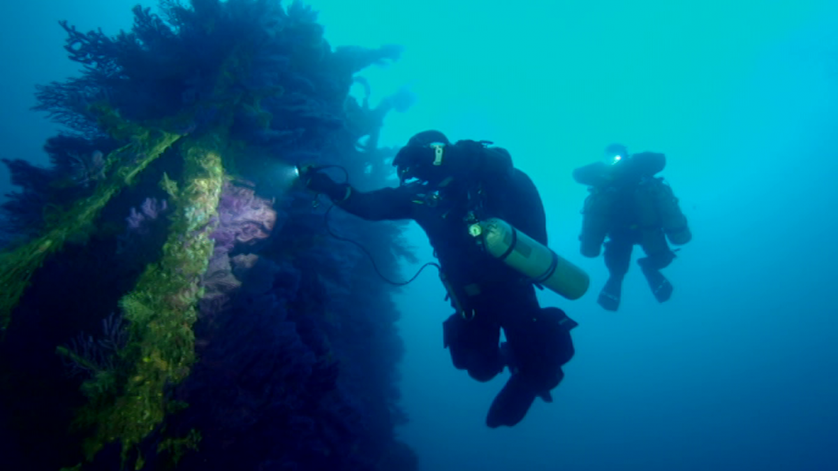 la2_tve's tweet photo. @AdolfoF11706742 @verdejomar 😁No sabemos si Mar lo habrá visto, pero tenemos toda la serie completa #AlaCarta en nuestra web
@HUNDIDOS1 🤿🐟
https://t.co/pqrjx66M9h https://t.co/gHBFo8rJeK