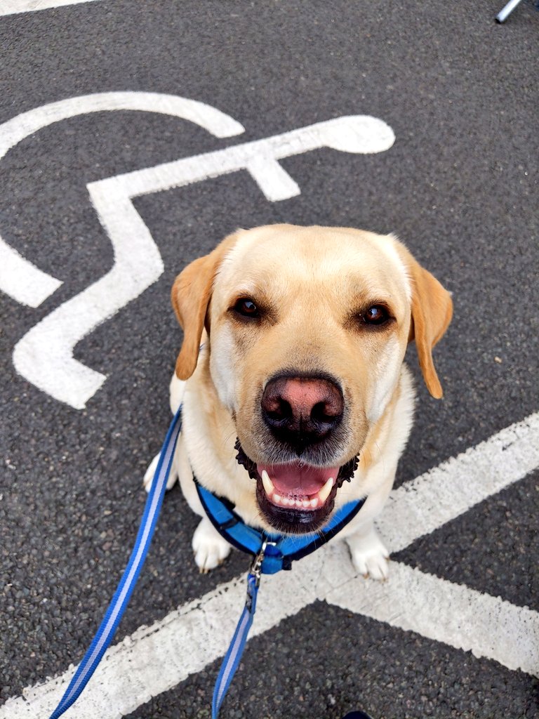 Dad says nobody likes a poser RT this and prove him wrong 

#PTSD Assistance Dog #MentalHealthAwareness