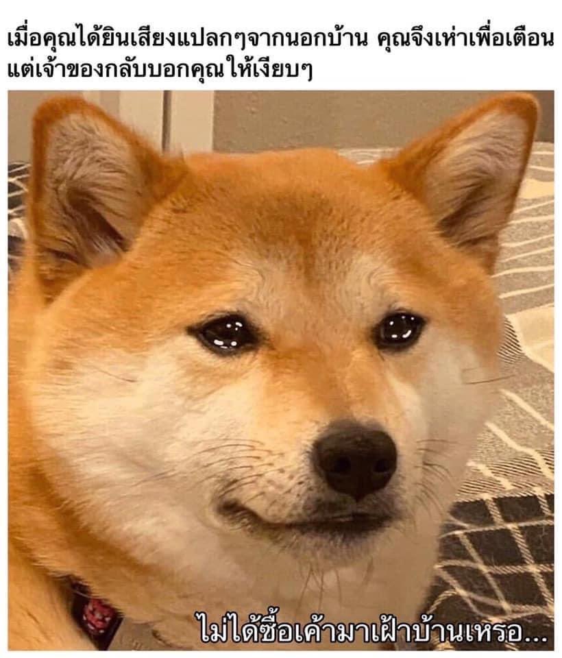 แงงงงงงงงง55555555555555555