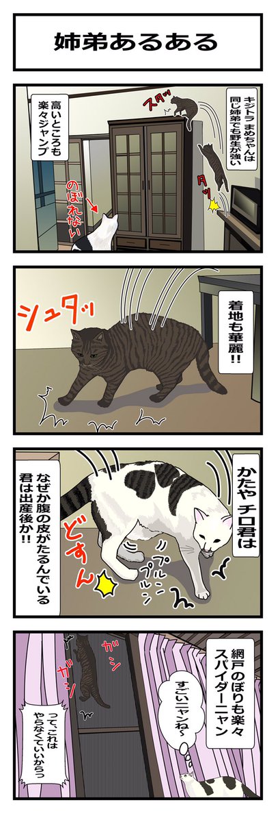 姉弟あるある Twitter Search