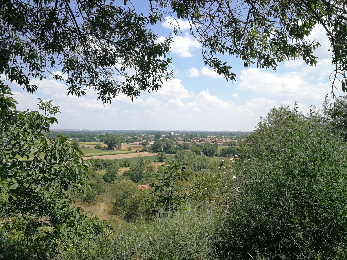 prally2's tweet image. #bornagain #Βυσσα #borderview