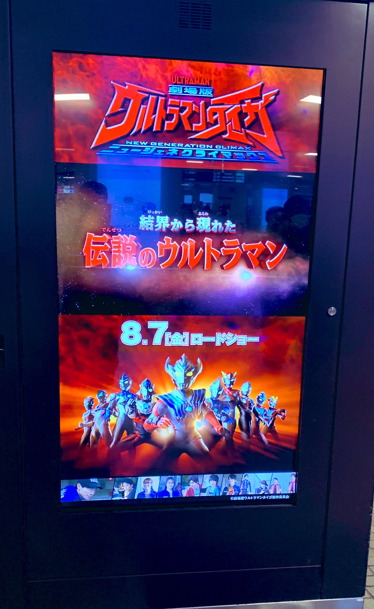 パピヨン Komutac Twitter