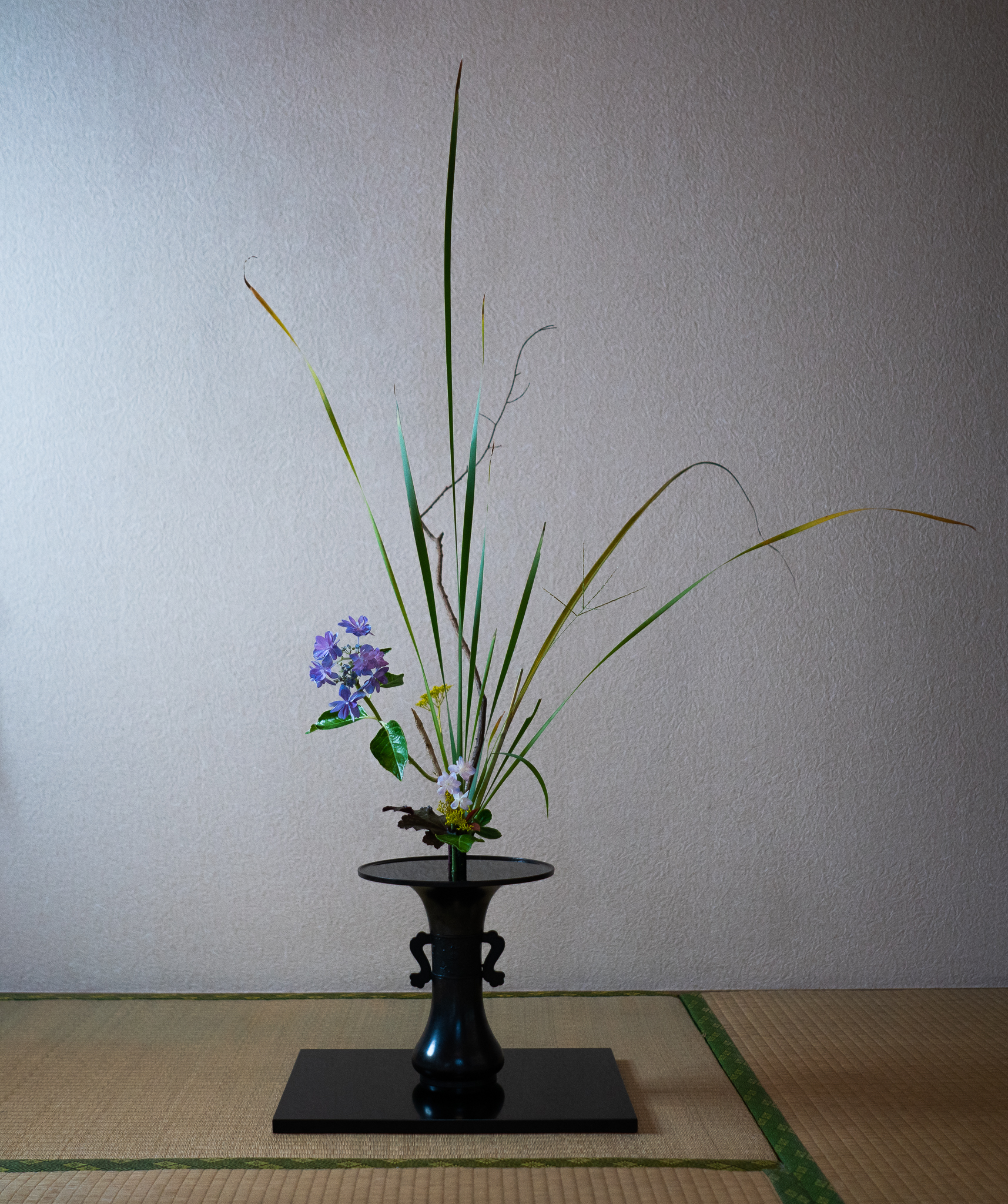 I M Photographer Ikebana Artist Based In Tokyo Japan Twitter