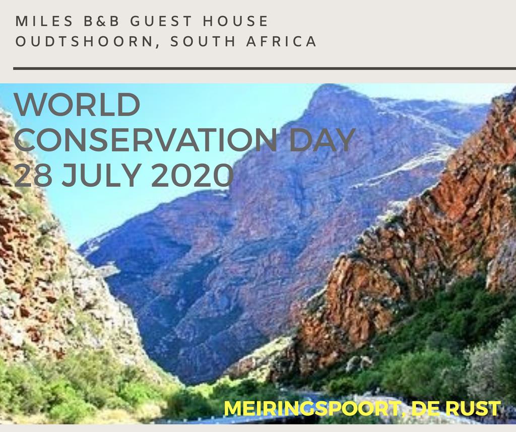 Thank you to everyone working together to live in harmony with nature. #sustainabletourism #worldconservationday #conservation #nature #meiringspoort #oudtshoorn #iamtourism #travel #stay #supportlocal #accommodation