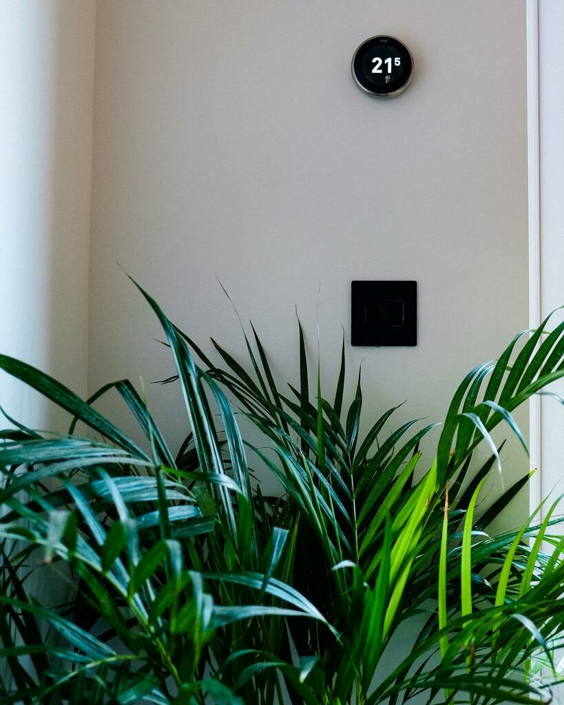 daMovia's tweet photo. #irishsummer anytime
I guess this is going to be the best weโll get (this is the temperature inside the house, outside is colder).
.
.
#urbanjungle #summerfail #damovia https://t.co/nmqwXf8fas https://t.co/jXILqZo6zF