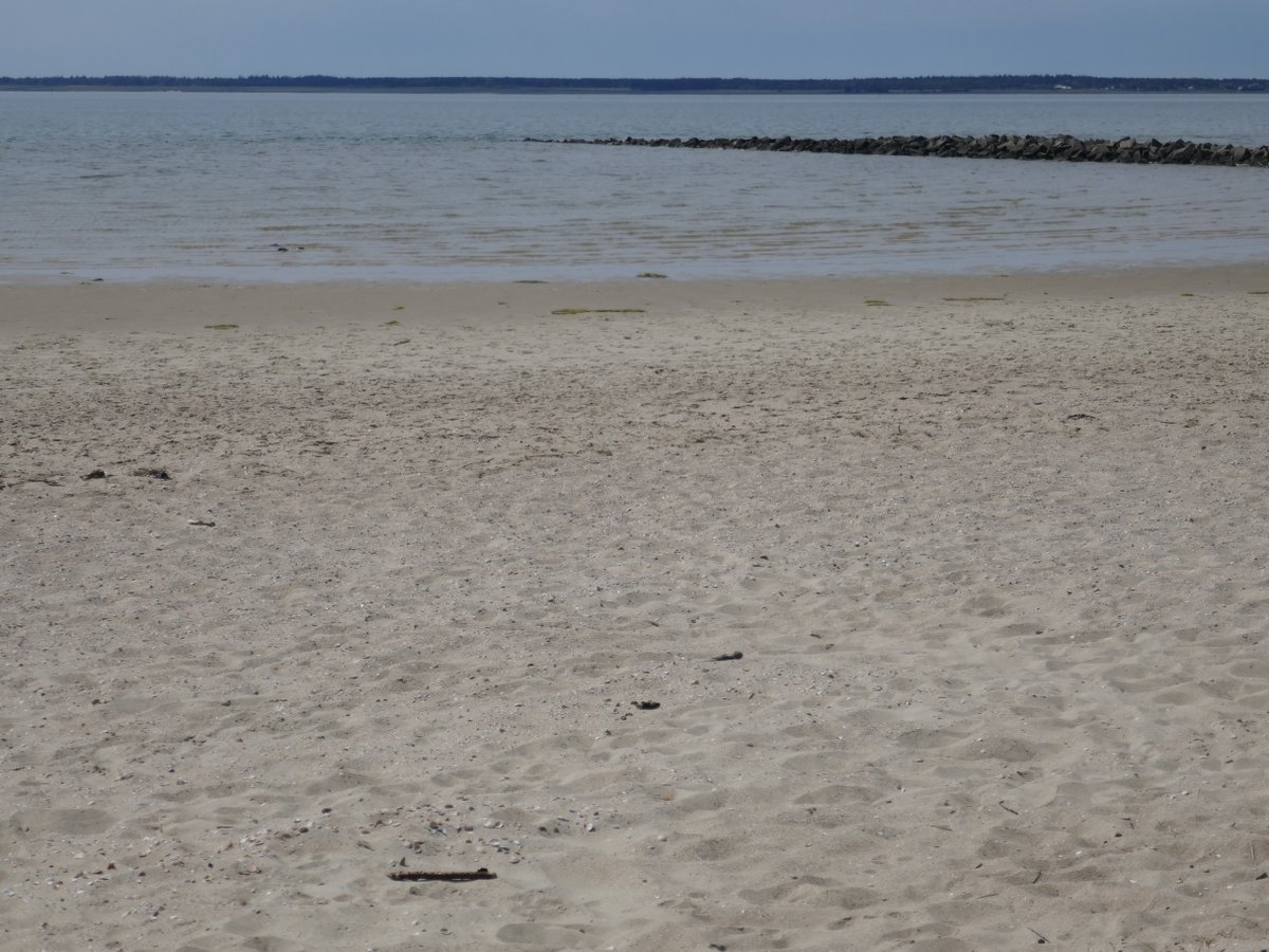 Reinhard Helle Bekampfung Des Fernwehs Statt Chinesisch Fur Anfanger Jetzt Ik Snaake Fering Ich Spreche Friesisch Sprutjenhus Spritzenhaus Taarepshus Dorfhaus Huar Gurgt Det Up To Strun Wo Geht Es Zum Strand Adjis Tschuss