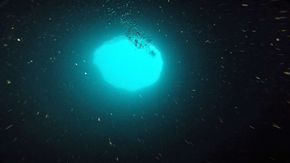 IFLScience's tweet photo. Scientists To Explore Mysterious Deep "Blue Hole" Off The Coast Of Florida
https://t.co/ZPoARYXi80 https://t.co/xwORyiS5hi