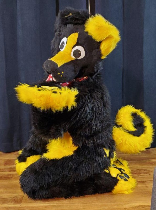 I see a lot of people doing this, so I'll give it a try as well ^^