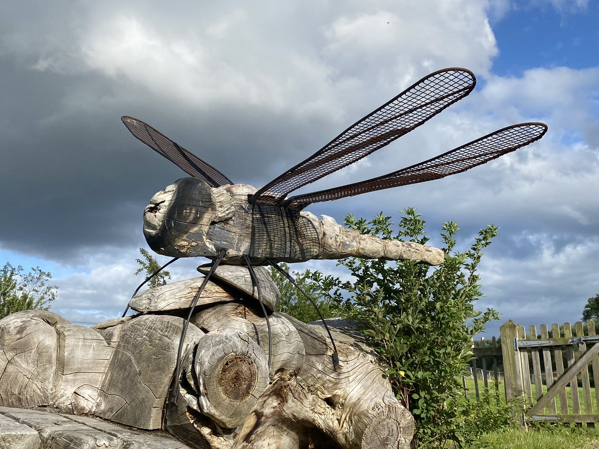 Dragonfly sculpture at #delamereforest for more photos see Instagram.com/delamereforest… #cheshire