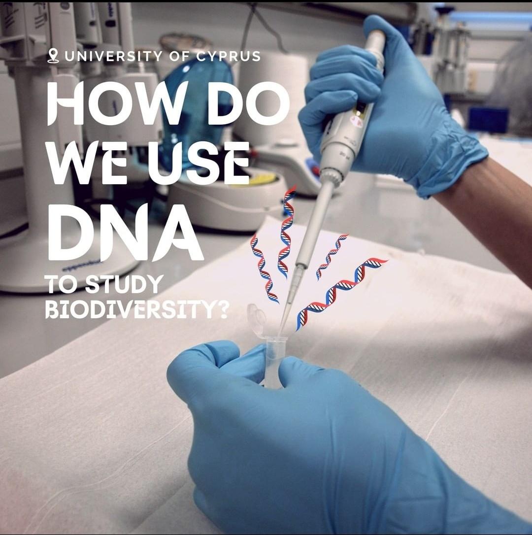 iBioGen_project's tweet photo. https://t.co/Vsr4jzpRm8
#nature #biodiversity #hiddenbiodiversity #science #biology #cyprus #ibiogen #ecology #evolution #universityofcyprus #ucy #nhm #cnrs #csic #h2020 #research #dna #laboratorylife #genomics #sciencerules #biologist #genetics #biologylab #education https://t.co/9ryg5rMnUb