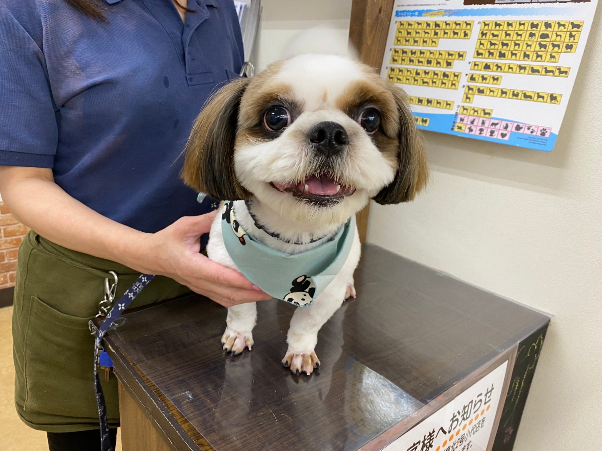 うるさい犬 Twitter Search Twitter