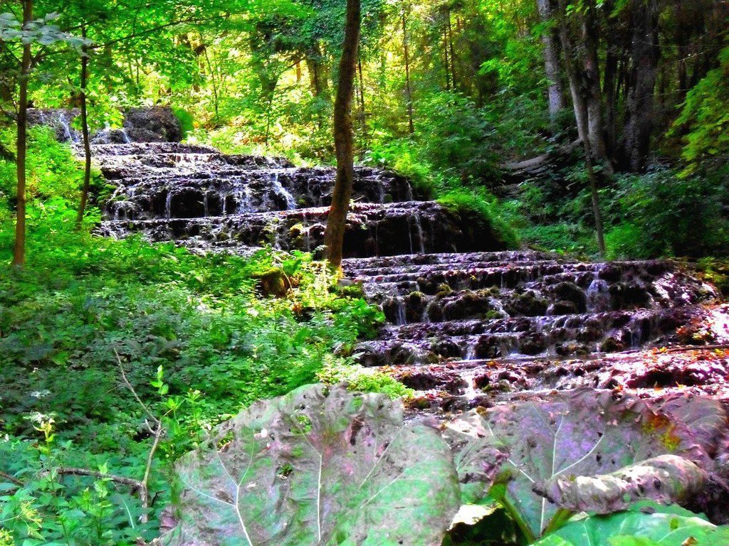 visit_hungary's tweet photo. Wonderful places in Hungary which you may not have known before! 😍🤩 #wowhungary
Read more at: https://t.co/ZUWKp99pwE https://t.co/rC23hBgYPa