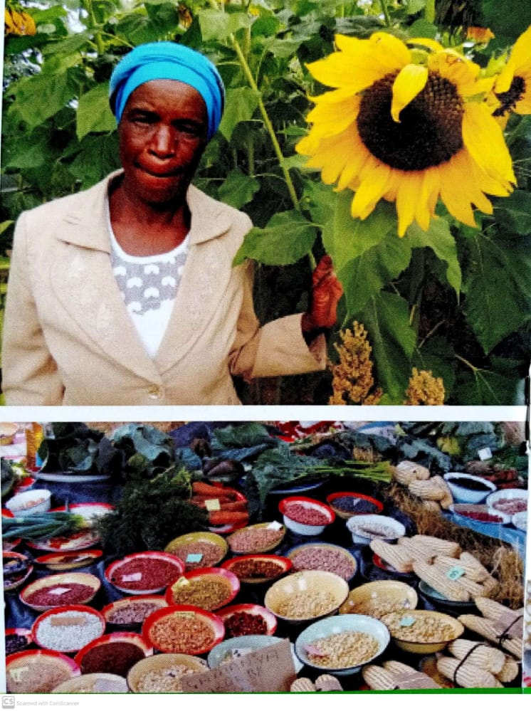 EAfricazim's tweet photo. The reduction of carbon emissions alone will not halt the effects of climate change. We need to focus on reducing the vulnerability of communities to the inevitable effects of climate change.
#sustainablelivelihoods
#environmentafrica
#championingtheenvironment https://t.co/uQdiyktQpE