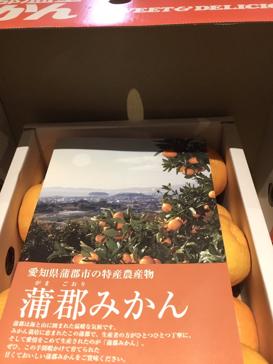 蒲郡温室みかん 蒲郡温室みかん