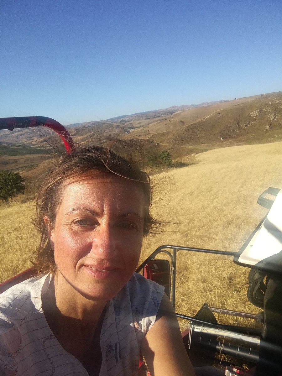 san_giovannello's tweet photo. 🌞 La #Timilia è un grano 🌾🌱🌾antico siciliano, dal glutine poco tenace e altamente digeribile. Noi lo coltiviamo in Bio per produrre pane e pasta di alta qualità.🍝🍞
https://t.co/QKERHuVQBb
#pasta #pastaartigianale #agricolturaBiologica #farina #graniantichi #Sicilia https://t.co/MYKTYPKX0w