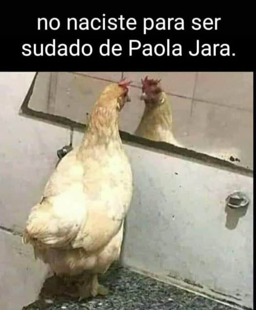 UserInuser059's tweet image. Poblicando cosas que SI importan!