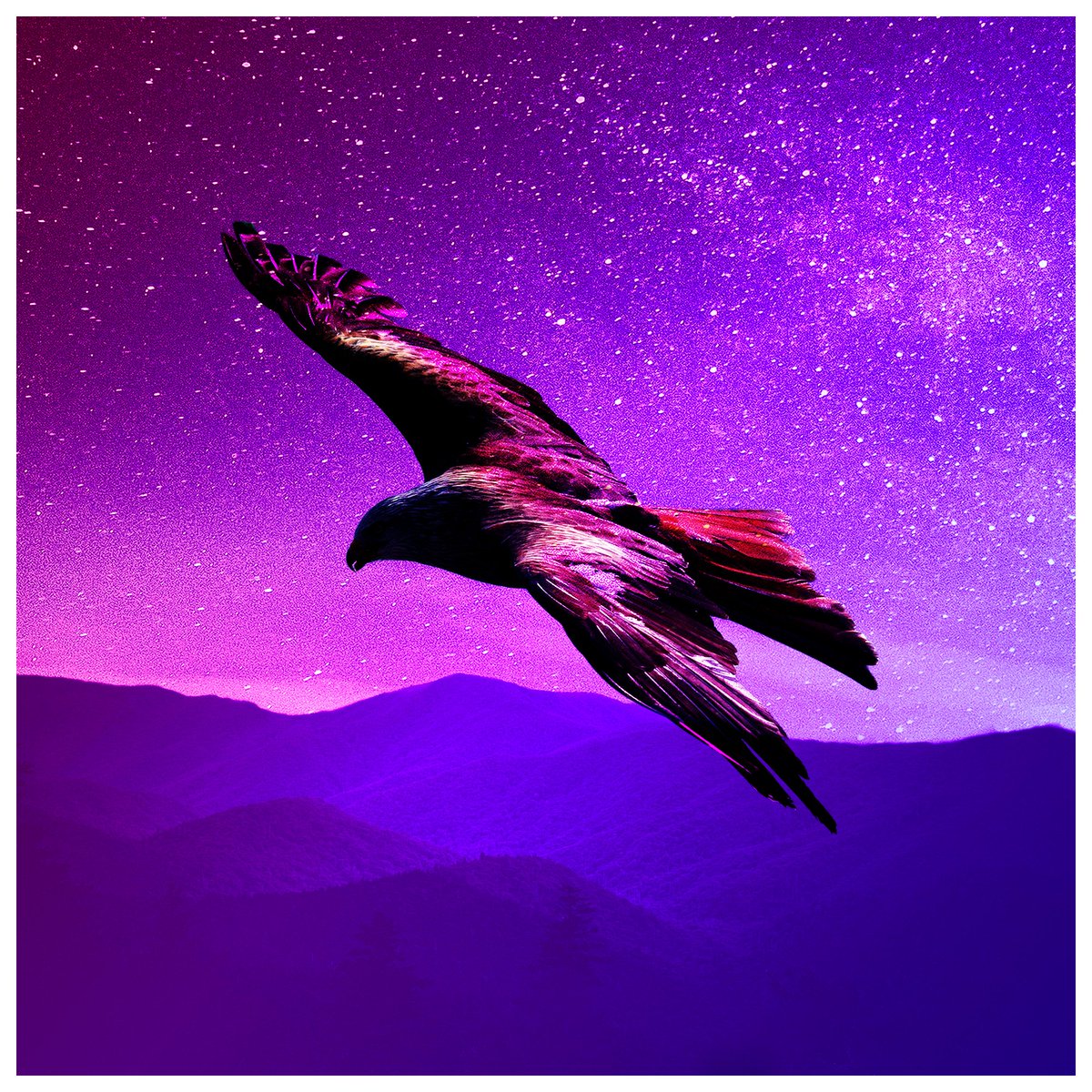 New 3 track lofi/chillout EP out today: fanlink.to/glide-ep

#lofi #lofihiphop #lofimusic #chillhop #chill #downtempo #chillout #instrumentalhiphop