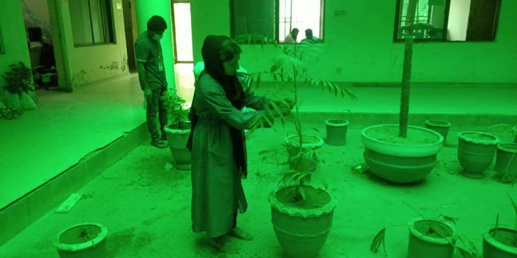 MGreenPakistan's tweet photo. میک پاکستان گرین گجرات ٹیم کی جانب سے کمشنرآفس گجرات میں شجرکاری کی گئی۔ جن لوگوں کےپاس پودےلگانےکی جگہ میسر نہیں وہ گملوں میں انڈور پلانٹ لگاسکتے ہیں گھر کی چھتوں پر بھی لگائے جاسکتےہیں۔ بڑے فخر کی بات ہے ہماری مائیں بہنیں بیٹیاں بھی شجرکاری کے اس نیک مشن میں شانہ بشانہ ساتھ ہیں https://t.co/F89hmlRW5C