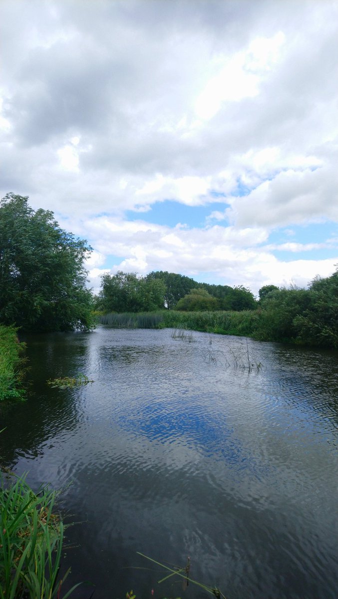 I am sitting on the bank of the River Great Ouse and am watching three generations of fishermen on the opposite bank, the view is very settling in these uncertain times
#coarsefishing #riverfishing #fishing #kidsfishing #gofishing