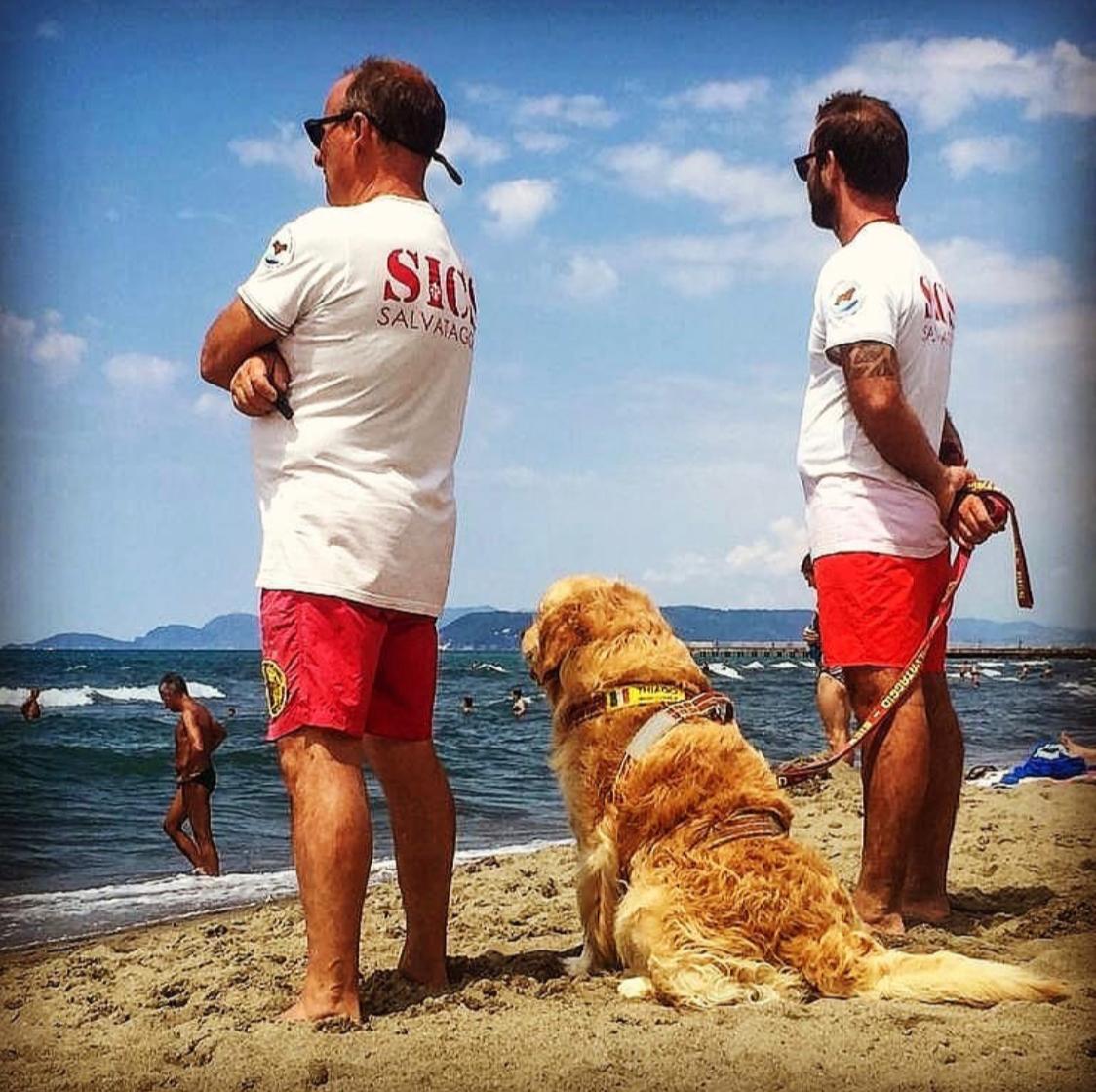 Siete al mare?
Anche gli amici della SICS  Scuola Italiana Cani Salvataggio-Tirreno sono sempre pronti a un tuffo e vegliano sulla nostra sicurezza.