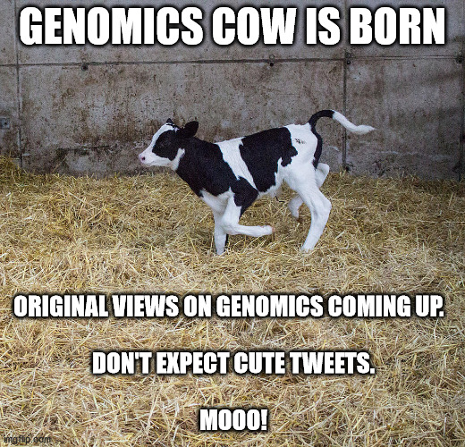 GenomicsCow's tweet image. #Genomics on social media is mainstream. Kinda boring.
Don't follow the herd