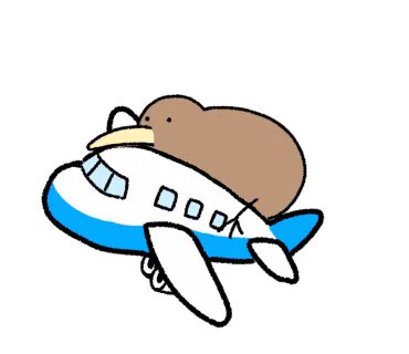 乗り物とキーウィ 