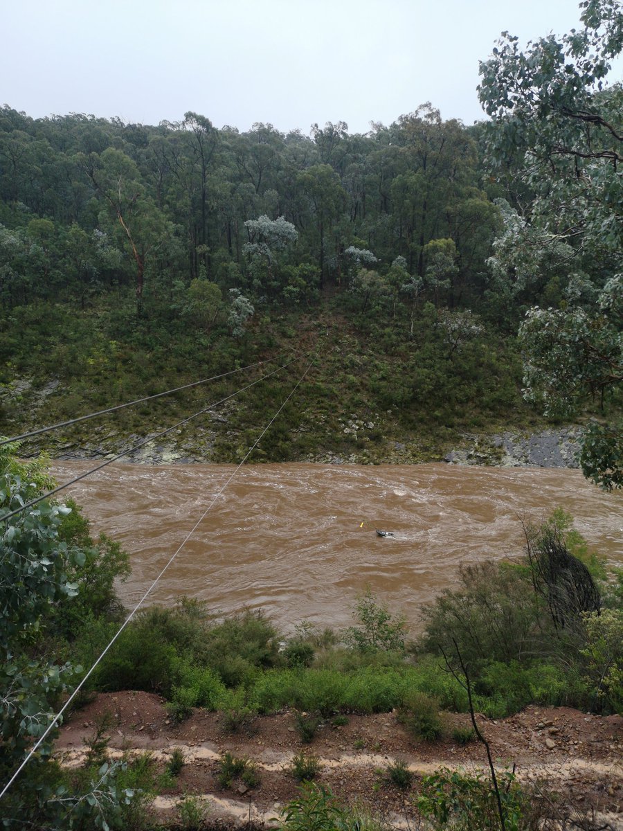 Like a duck on a pond.
Avon River @ The Channels
4.430m 12500 ML/d
#rivermonitoring
#gippsland