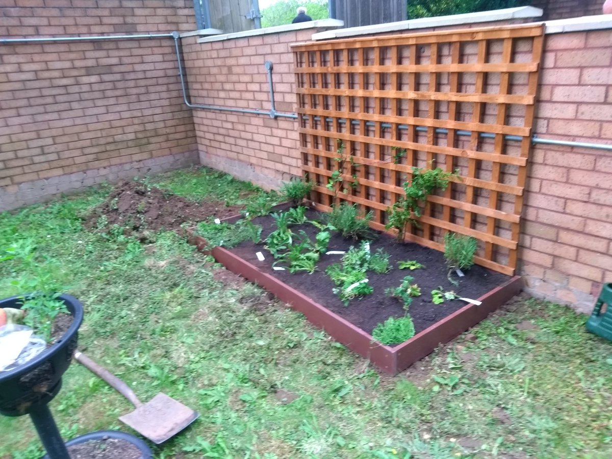 Andywales55uk's tweet photo. @AndyNewport55uk our small wildlife project as been started it's very small but we will see if we can add more to it later to make it bigger &amp; more to do.🌿🌱🏴󠁧󠁢󠁷󠁬󠁳󠁿😀🦋📷 https://t.co/xjgbY4dp7f