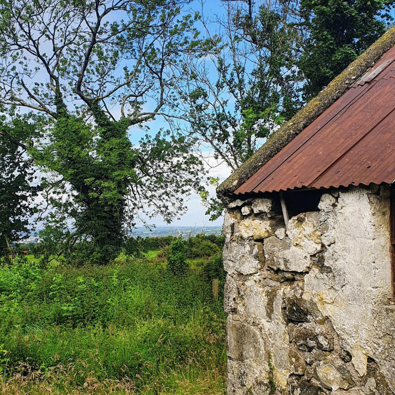 sdsarchitecture's tweet photo. when the rain eventually stops it's quite nice outside 😂
.
#onsite #oldbuilding #tinroof #ballymena #views #archtiects #summer #rain https://t.co/fjoobYNVZf