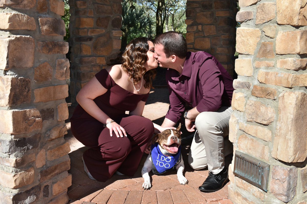 Talia Angelo tweet media