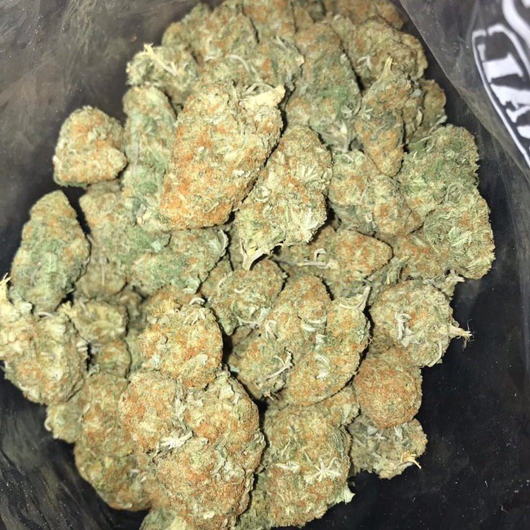 CyrilleAlisina's tweet photo. #gelato #terpenes #blue #terps #gg #ogkush #outdoorgrow #indoorgrow #cinderella #og #cherrypie #sourdiesel
Snapchat:calisina3
Telegram:Uk_pablo007
Wickr me:alisina7
Kik: calisina33
Telegram:https://t.co/86MoRWZFH6
#hightimes #edibles #joint #cbdmovement #cbdhelps #dcweedevents https://t.co/H1WOcl9QKg