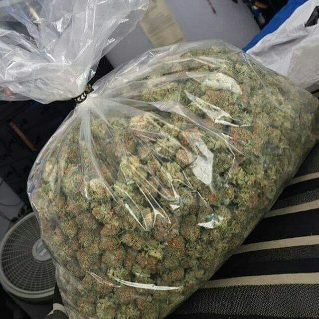 CyrilleAlisina's tweet photo. #gelato #terpenes #blue #terps #gg #ogkush #outdoorgrow #indoorgrow #cinderella #og #cherrypie #sourdiesel
Snapchat:calisina3
Telegram:Uk_pablo007
Wickr me:alisina7
Kik: calisina33
Telegram:https://t.co/86MoRWZFH6
#hightimes #edibles #joint #cbdmovement #cbdhelps #dcweedevents https://t.co/H1WOcl9QKg