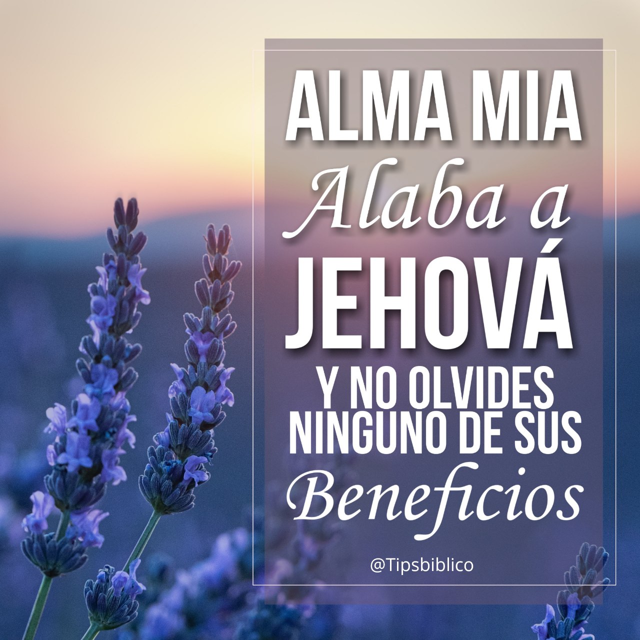 Salmos 103:2 Bendice, alma mía, a Jehová, Y no olvides ninguno de sus  beneficios