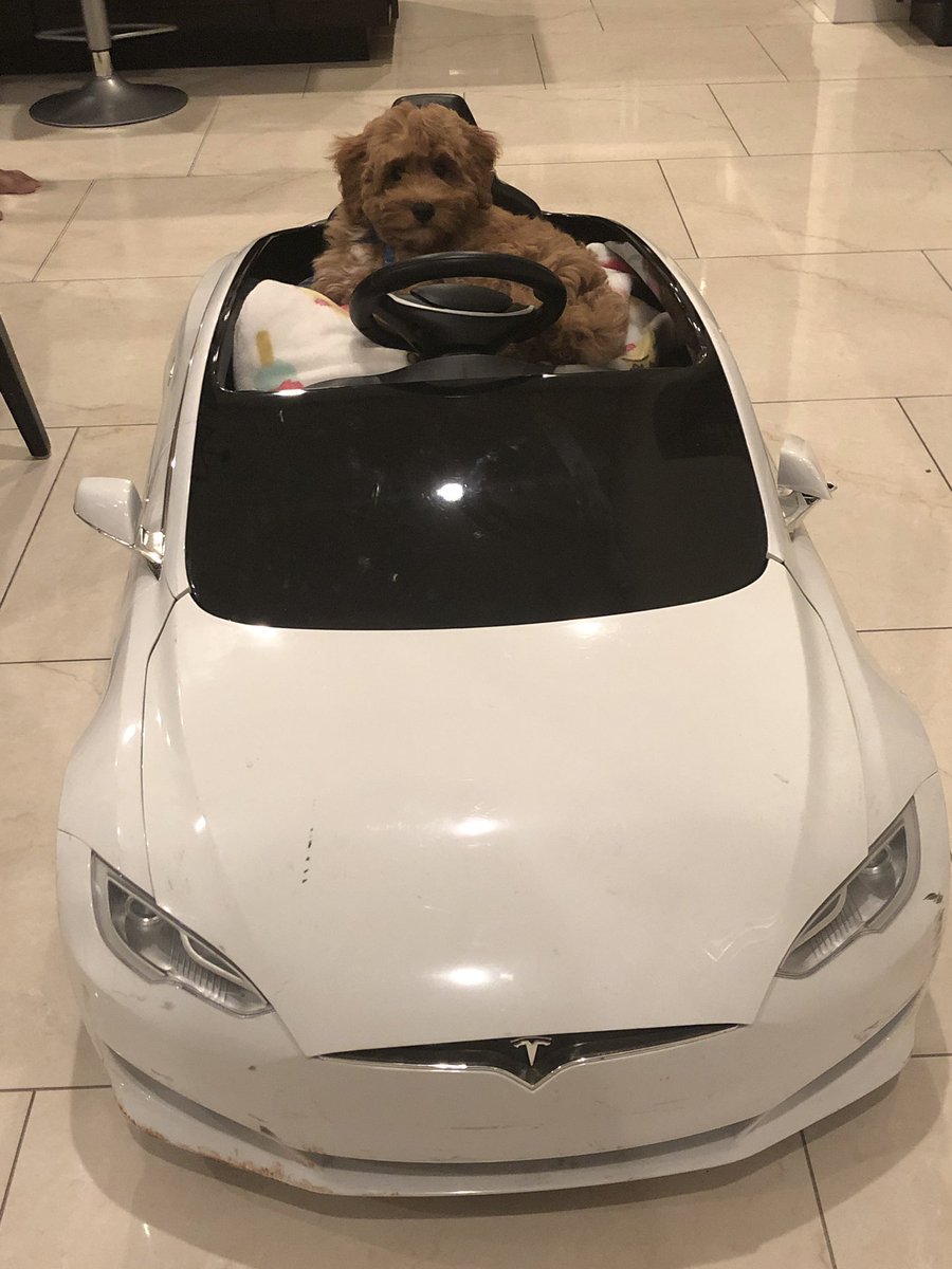 docneelheart's tweet photo. @elonmusk https://t.co/tqNpt8VZch