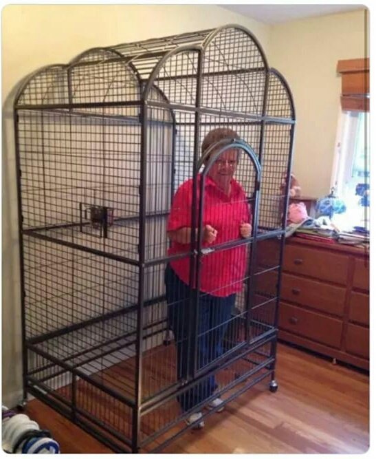 unknown_xy7's tweet photo. Mi abuelita no entiende que si quiere algo nos lo pida. Pero como se pone sus moños, tomaremos medida drásticas. https://t.co/m5obHlGFO2