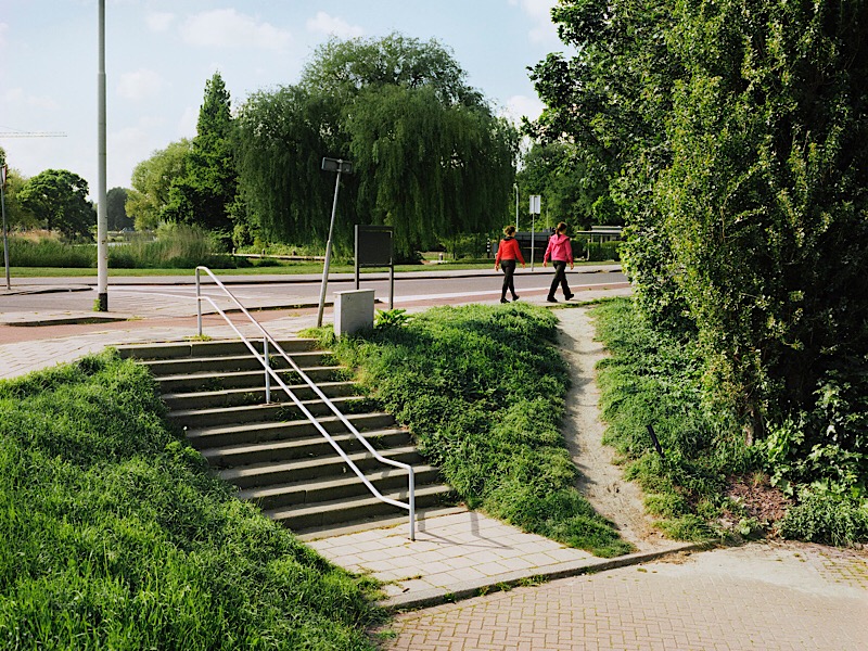 izurietavarea's tweet photo. The Dutch call these "elephant paths" and they signal a design's failure to connect with human behavior. https://t.co/BWOhU1DxZh
