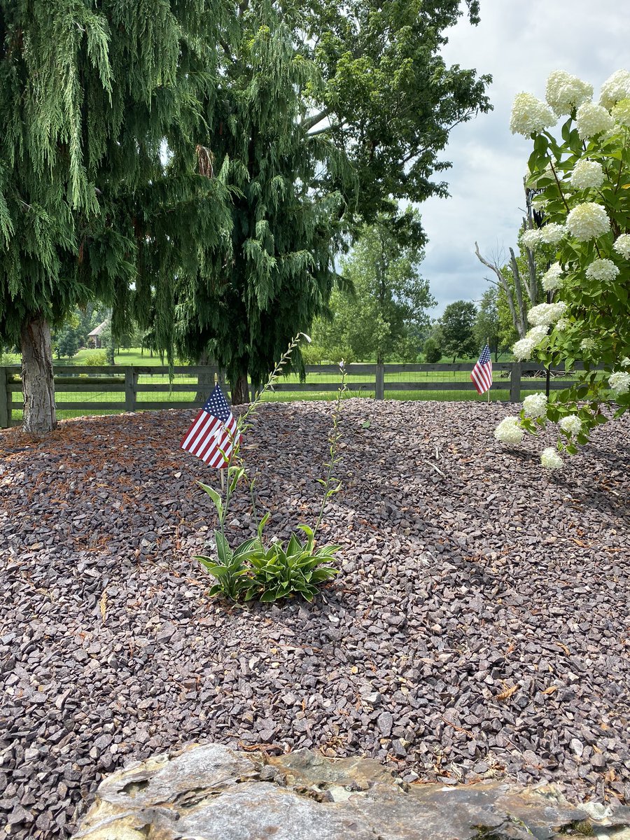 t2andc2's tweet photo. #FlagsOutForAmerica https://t.co/TJ4lZyc4mJ