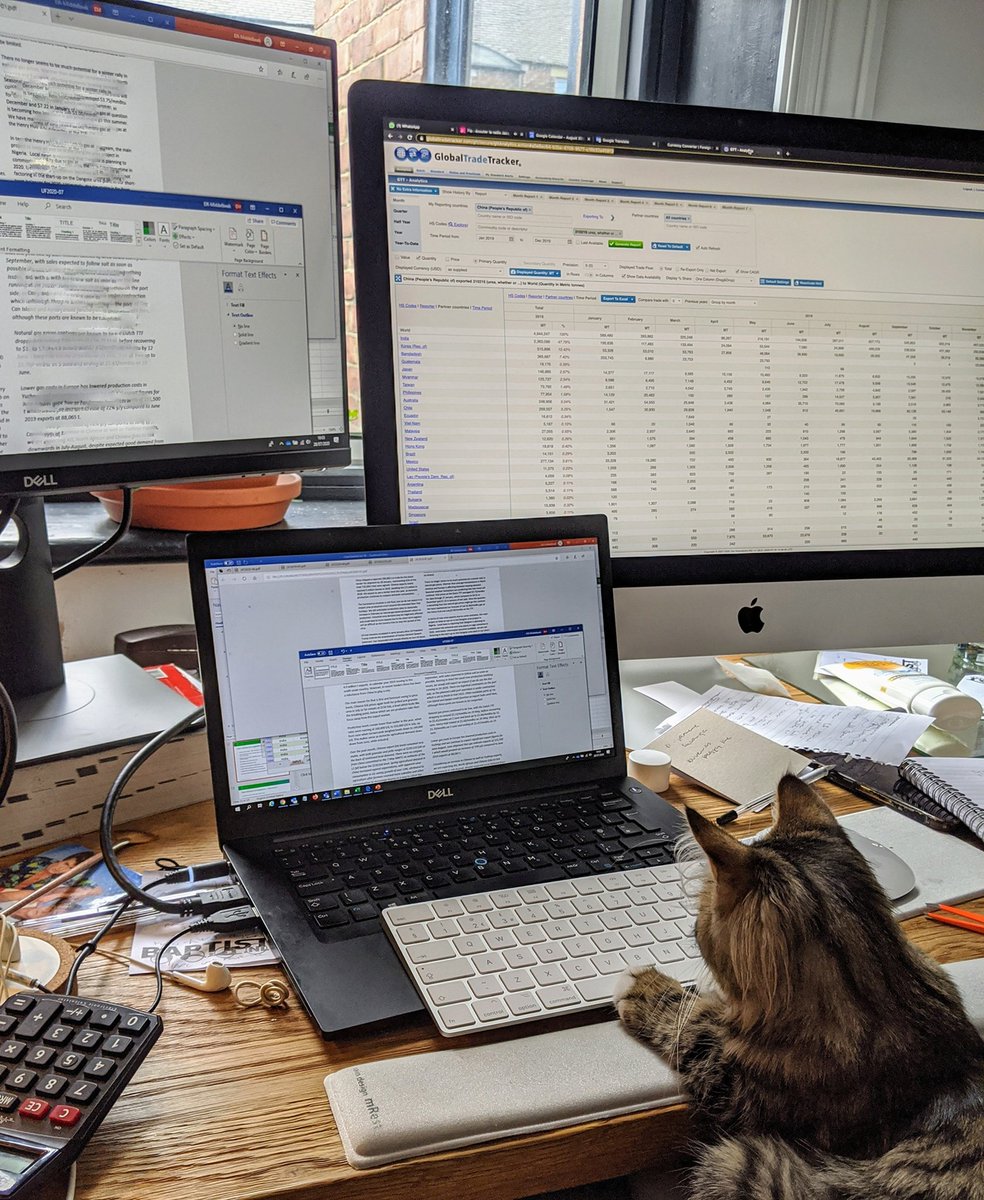 UreaNeverSleeps's tweet photo. Working over time to get those #urea forecasts out.. 😼 - cancel my 3 o'clock - I need to watch this bird  #ureaneversleeps https://t.co/RScSCI8S3y