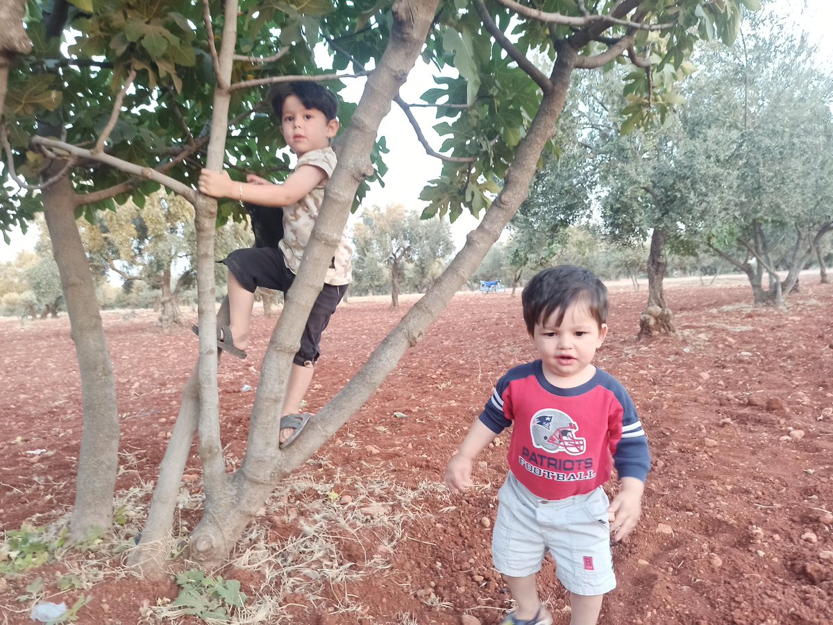 koteba3190's tweet photo. التين 
٢٠٢٠ https://t.co/8VpgiFF4nh