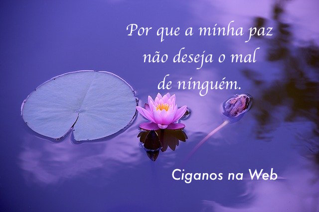 Boa noite! Nasmastê! Ciganos na Web Tarot Online