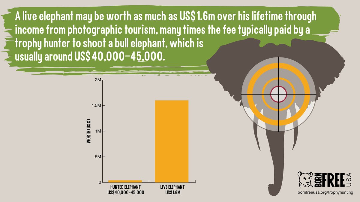 BornFreeUSA's tweet photo. #TrophyHunters claim #TrophyHunting provides economic opportunities for local people but trophy hunting plays an insignificant economic role. True #WildlifeConservation benefits #animals, #ecosystems &amp; communities, and trophy hunting fails on all fronts. RT to spread the word! https://t.co/psPZoRIiLT