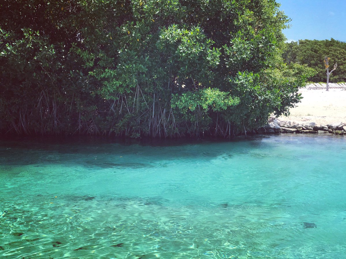 YOAMOPLAYARADIO's tweet photo. #Feliz27PlayaDelCarmen comparte tus fotos disfrutando de este hermoso lugar @YoAmoPlaya @SedeturQROO @CarlosJoaquin @RivieraMaya @AmoQuintanaRoo https://t.co/zY6t5HB2eF